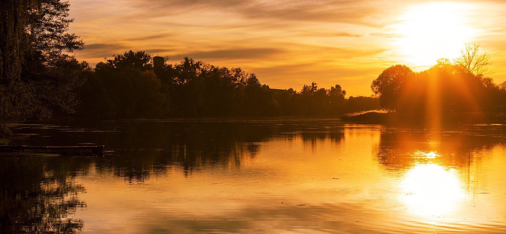 Endodontics Mooresville NC, Endodontist